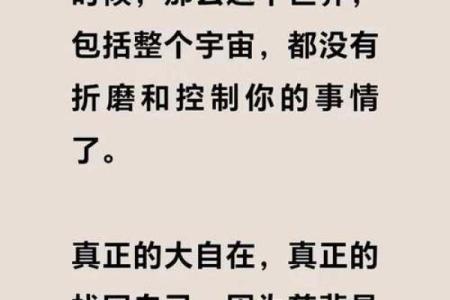 人只有一条命，生活的珍贵与意义探讨