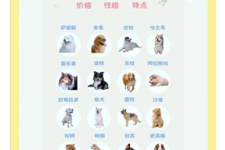 根据土命和金命，选择适合的狗狗品种