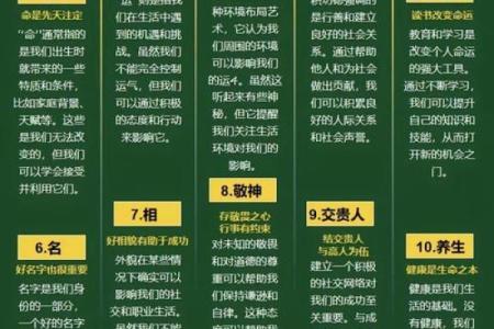 揭秘五行命理：木命人与水命人的性格魅力与人生轨迹