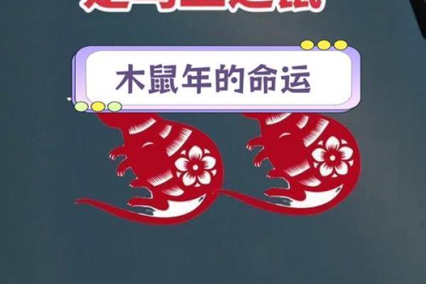 属鼠的人是什么命?揭开不一样的秘密与运势! 属鼠的人是什么命?揭开不一样的秘密与运势!