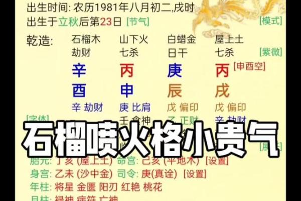 石榴木命与火命的奇妙结合:生命之树的哲学探讨 石榴木命与火命的奇妙结合:生命之树的哲学探讨