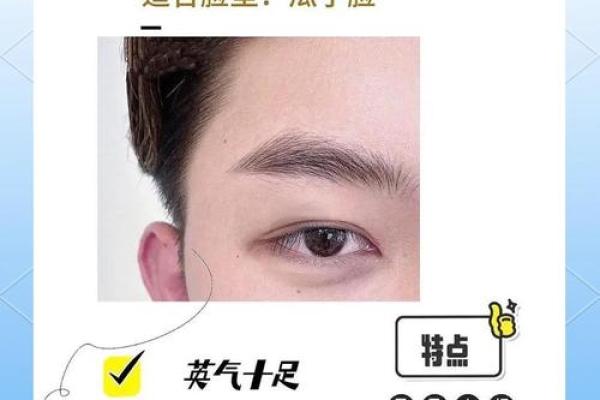 眉形与命运:什么眉形的人最有福气? 眉形与命运:什么眉形的人最有福气?