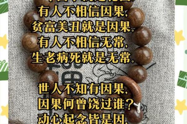 命运的巧合：那些靠运气过日子的人们