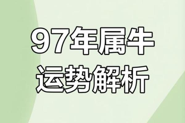 97年属牛人的财运分析与发展策略 97年属牛人的财运分析与发展策略