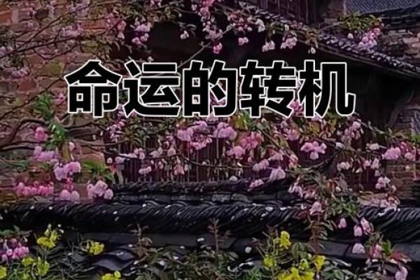 女命阴错阳差,命运的微妙与转折! 女命阴错阳差,命运的微妙与转折!