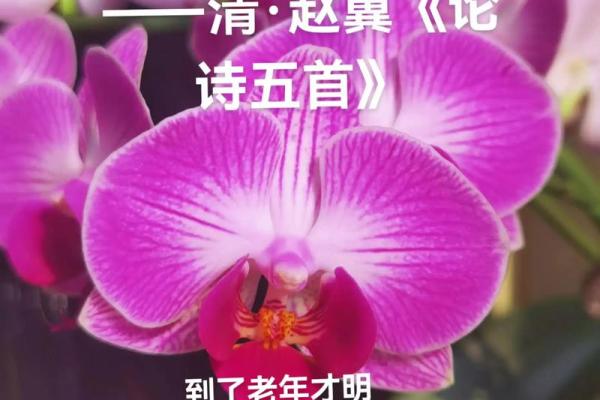 人生的三个转命阶段：从青涩到成熟的成长之旅