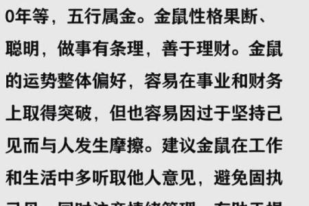 属鼠的人是什么命？揭开不一样的秘密与运势！