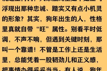 属狗人2018年命运解析：寻找属于你的成功之路