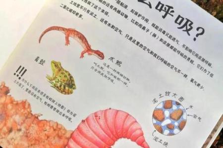 蚯蚓的神秘生活：为何它们被称为拥有三条命的生物？