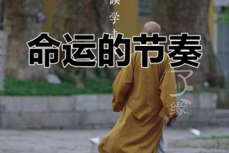 命运的无常：当好事总与我无缘时的思索