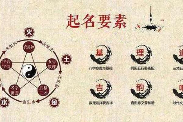 了解你的命格:选择适合养玄猫的生肖与五行 了解你的命格:选择适合养玄猫的生肖与五行