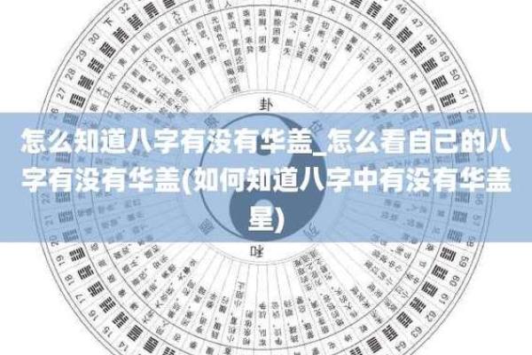揭示女命八字的奥秘:七阳一阴如何影响人生轨迹 揭示女命八字的奥秘:七阳一阴如何影响人生轨迹