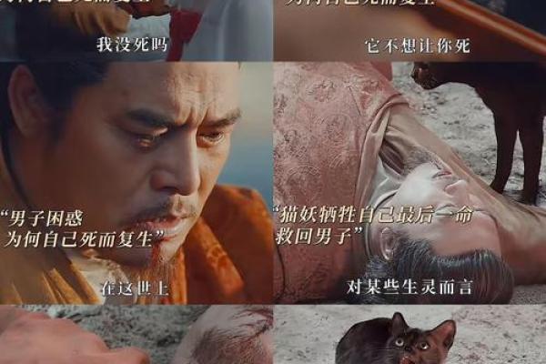 清明节的传说:猫与九条命的神秘联结 清明节的传说:猫与九条命的神秘联结