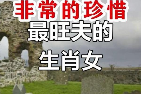 生肖与小女人命运:细说那几种生肖对女性命运的影响 生肖与小女人命运:细说那几种生肖对女性命运的影响