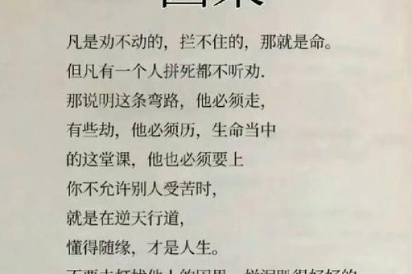命字的四字词语与人生哲理：命运、命运之轮、命中注定、命运多舛