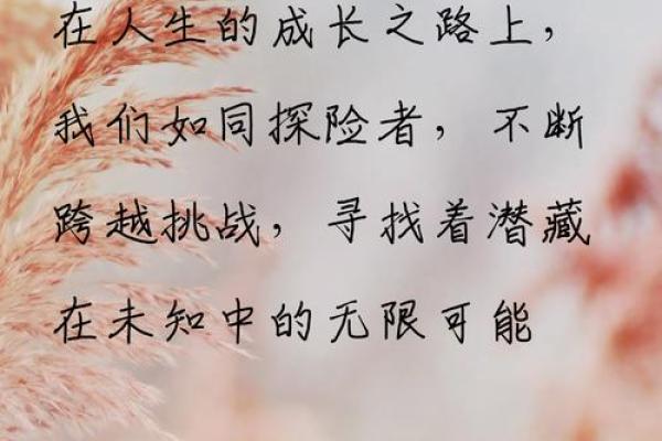 命运的掌控：我油我不油天，探索人生的自由与选择