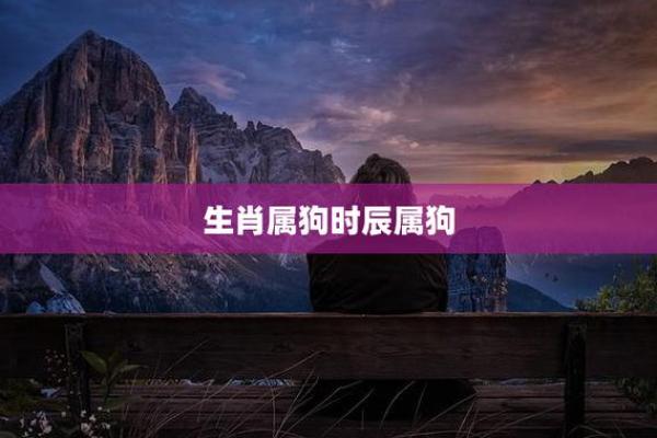 属狗与蛇相遇,八字命理的独特魅力揭示 属狗与蛇相遇,八字命理的独特魅力揭示