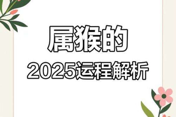 属猴人的命运解析:智慧与机遇的结合 属猴人的命运解析:智慧与机遇的结合
