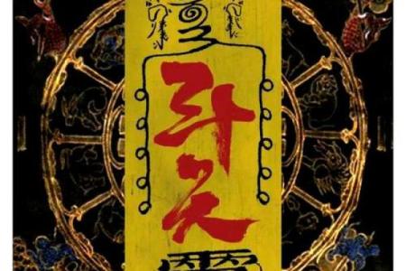 了解你的命格：选择适合养玄猫的生肖与五行