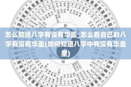 揭示女命八字的奥秘：七阳一阴如何影响人生轨迹