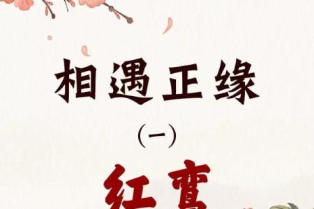 红鸾桃花入命：解读爱情与婚姻的神秘信号