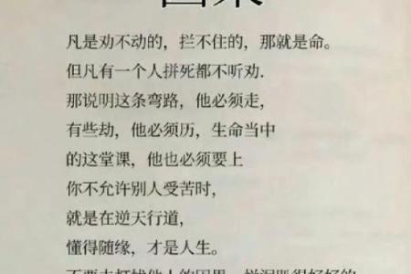 命字的四字词语与人生哲理：命运、命运之轮、命中注定、命运多舛