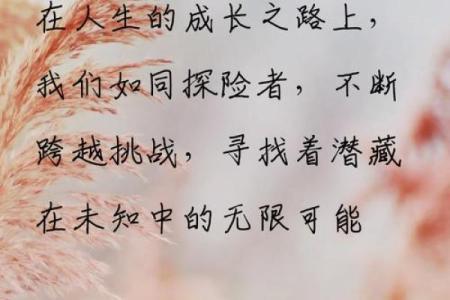 命运的掌控：我油我不油天，探索人生的自由与选择