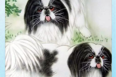 属狗与蛇相遇，八字命理的独特魅力揭示