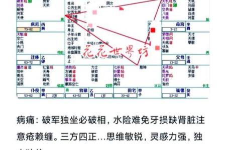 如何查询自己的命格，揭开人生的神秘面纱