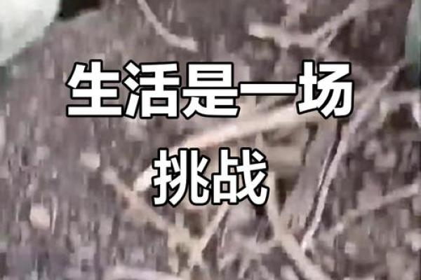 七旬老者命悬一线，人与命运的较量与希望的曙光