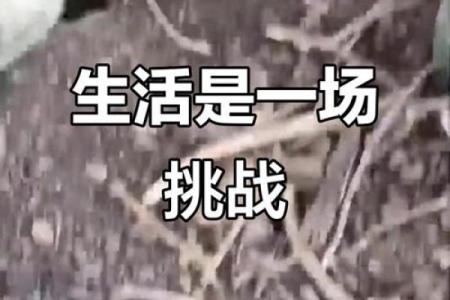 七旬老者命悬一线，人与命运的较量与希望的曙光