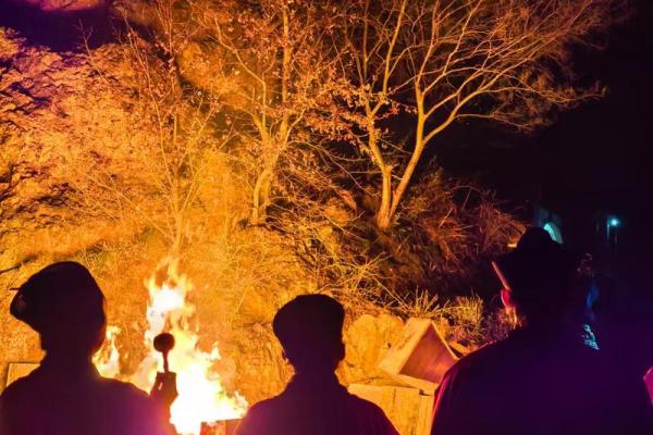 揭秘尼姑命与童子命:命运背后的神秘面纱 揭秘尼姑命与童子命:命运背后的神秘面纱