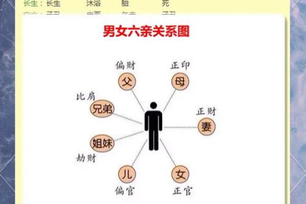 如何查找自己的命运类别,轻松了解命运的奥秘! 如何查找自己的命运类别,轻松了解命运的奥秘!