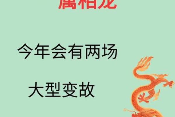 揭秘龙的五行与命理,助你找到人生方向! 揭秘龙的五行与命理,助你找到人生方向!