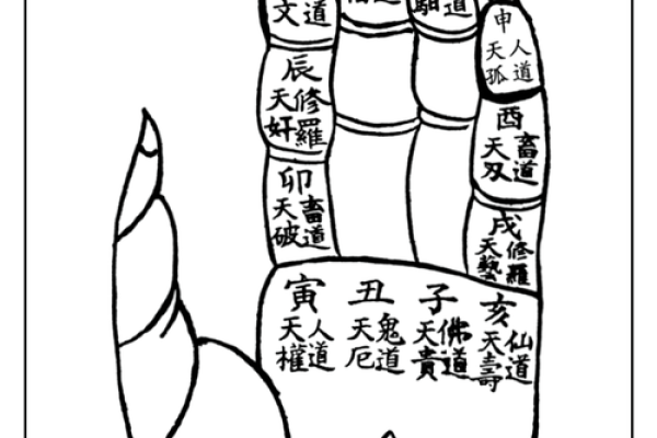 壬寅仙命者,适宜葬于何山向?揭开命理玄机 壬寅仙命者,适宜葬于何山向?揭开命理玄机