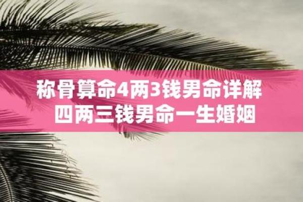 三两一钱男命:适合的发展方向与职业选择指南 三两一钱男命:适合的发展方向与职业选择指南