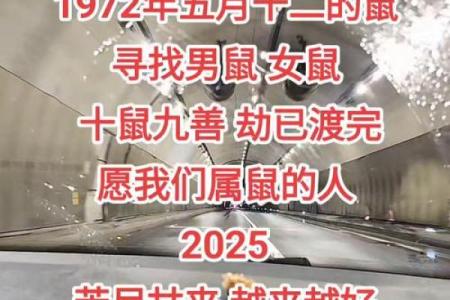 七二年属鼠的命理解析与人生启示