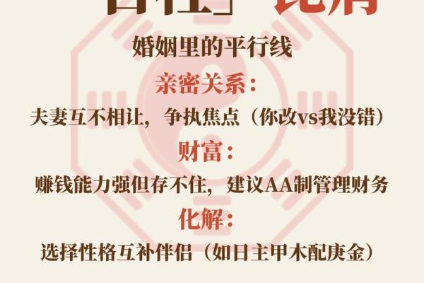 石柳木命的最佳搭配:解密命理与和谐人生的奥秘 石柳木命的最佳搭配:解密命理与和谐人生的奥秘