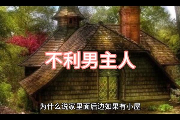 墙头土命与其他命理的完美搭配探秘 墙头土命与其他命理的完美搭配探秘