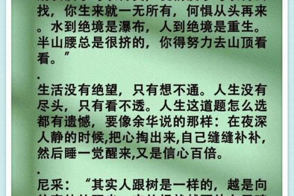 没有爱情的人生:孤独的命运与自我救赎的旅程 没有爱情的人生:孤独的命运与自我救赎的旅程