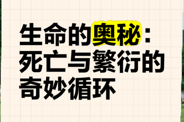 揭示天花命的奥秘:生命的独特与挑战 揭示天花命的奥秘:生命的独特与挑战