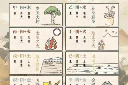 桑拓木命，适合什么命理，解析五行相生互补之道