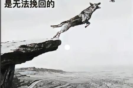 搏命之后为何瞬间崩溃？揭示内心的脆弱与坚持的真相