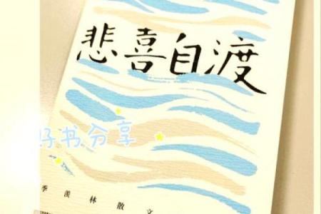 没有爱情的人生：孤独的命运与自我救赎的旅程