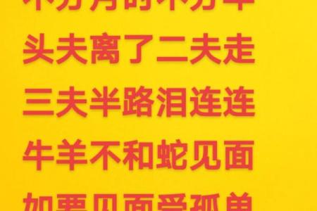 生肖与婚姻：神秘生肖何以多妻缘？