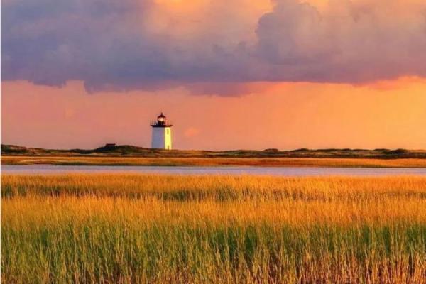 缺木之命:女人如何拥抱缺失,绽放光彩 缺木之命:女人如何拥抱缺失,绽放光彩