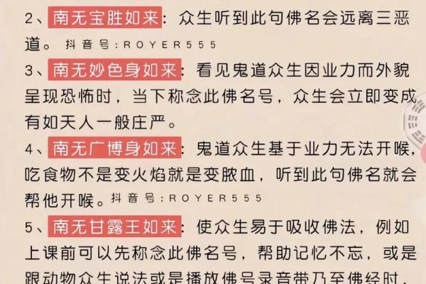 佛不修命,智慧与命运的深刻探讨 佛不修命,智慧与命运的深刻探讨