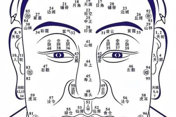 根据眉形解析旺夫旺财的秘密,教你打造人生赢家的命理秘诀! 根据眉形解析旺夫旺财的秘密,教你打造人生赢家的命理秘诀!