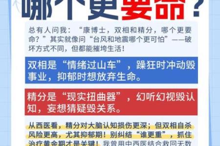 当神里两命相融，探秘背后的力量与意义