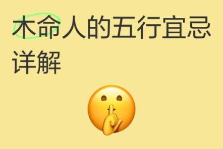 木命女孩与最佳搭配命理的灵动之舞